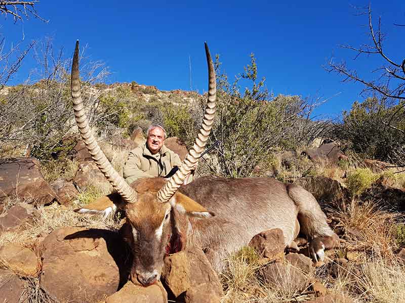 Waterbuck hunting with Eastcape & Karoo Safaris South Africa