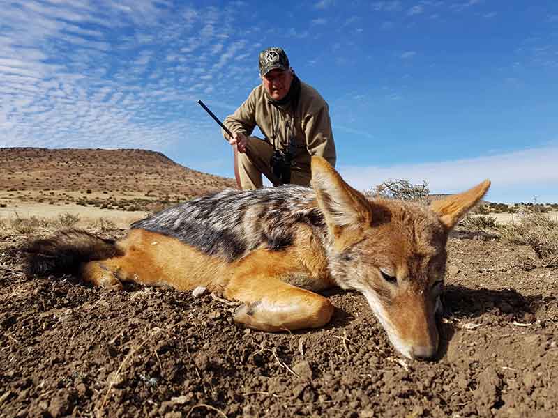 Black-backed Jackal with hunteasterncape.com