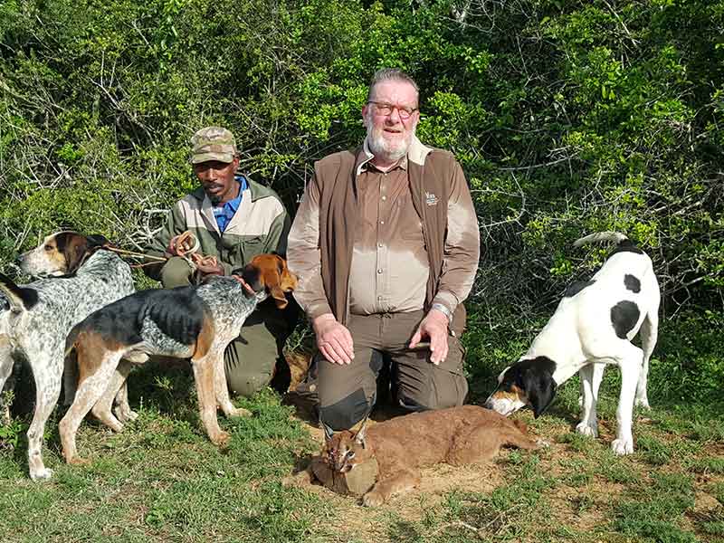 Caracal hunting with Eastcape & Karoo Safaris South Africa