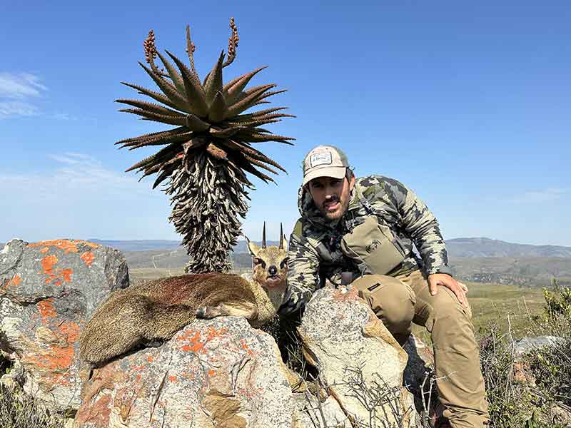 Klipspringer hunting with Eastcape & Karoo Safaris South Africa