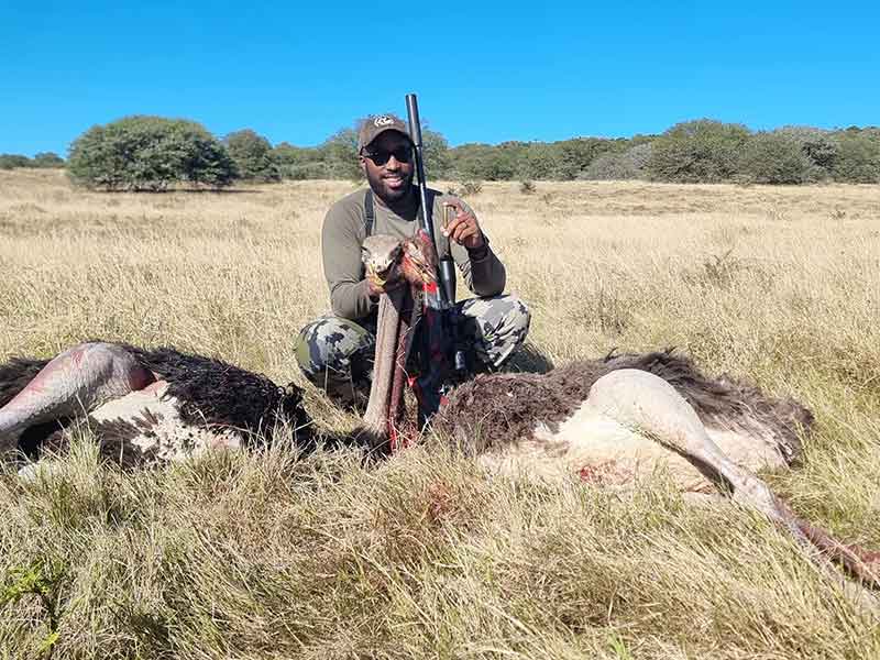 Ostrich hunting with Eastcape & Karoo Safaris South Africa