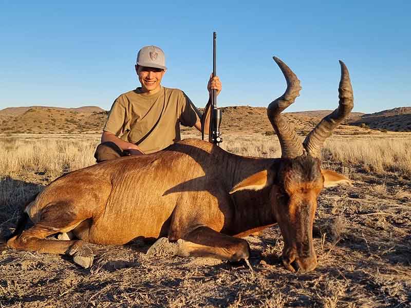 Red Hartebees hunting with Eastcape & Karoo Safaris South Africa