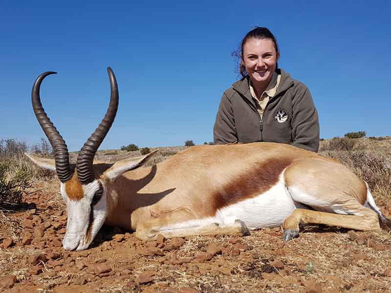 Springbuck common, hunting with Eastcape & Karoo Safaris South Africa