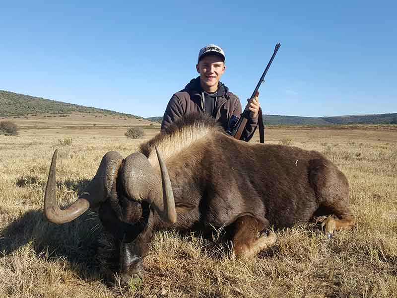 Wildebees black hunting with Eastcape & Karoo Safaris South Africa
