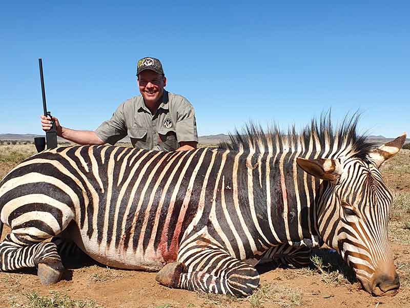 Zebra Hartmans hunting with Eastcape & Karoo Safaris South Africa