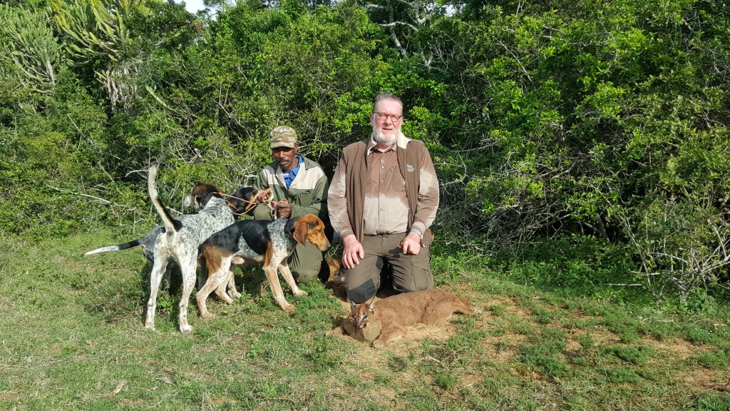 Caracal Hound Hunting with Eastcape & Karoo Safaris - South Africa