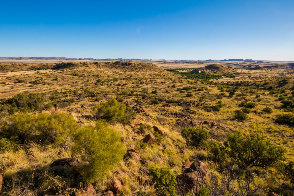 Landscape image with Eastcape & Karoo Safaris - South Africa