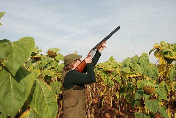 Wing shooting with Eastcape & Karoo Safaris - South Africa